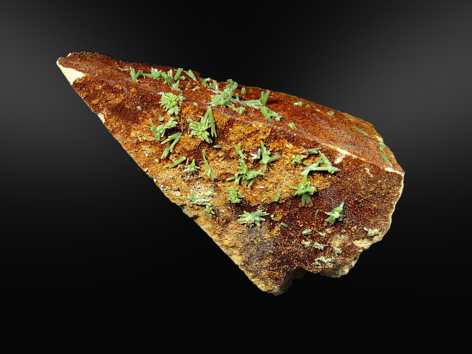 Piromorfita
13 x 8 cm.
(Autor: Antonio P. López)