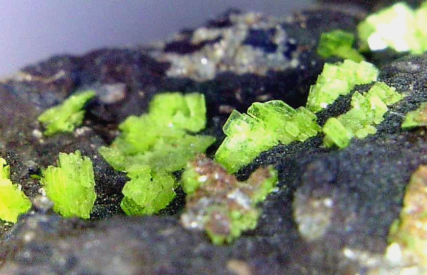 Autunita
Campo de visión 10 mm.
(Autor: Antonio P. López)