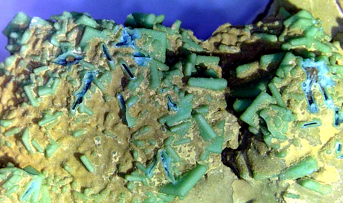 Turquesa
Campo de visión 2 cm.
(Autor: Antonio P. López)