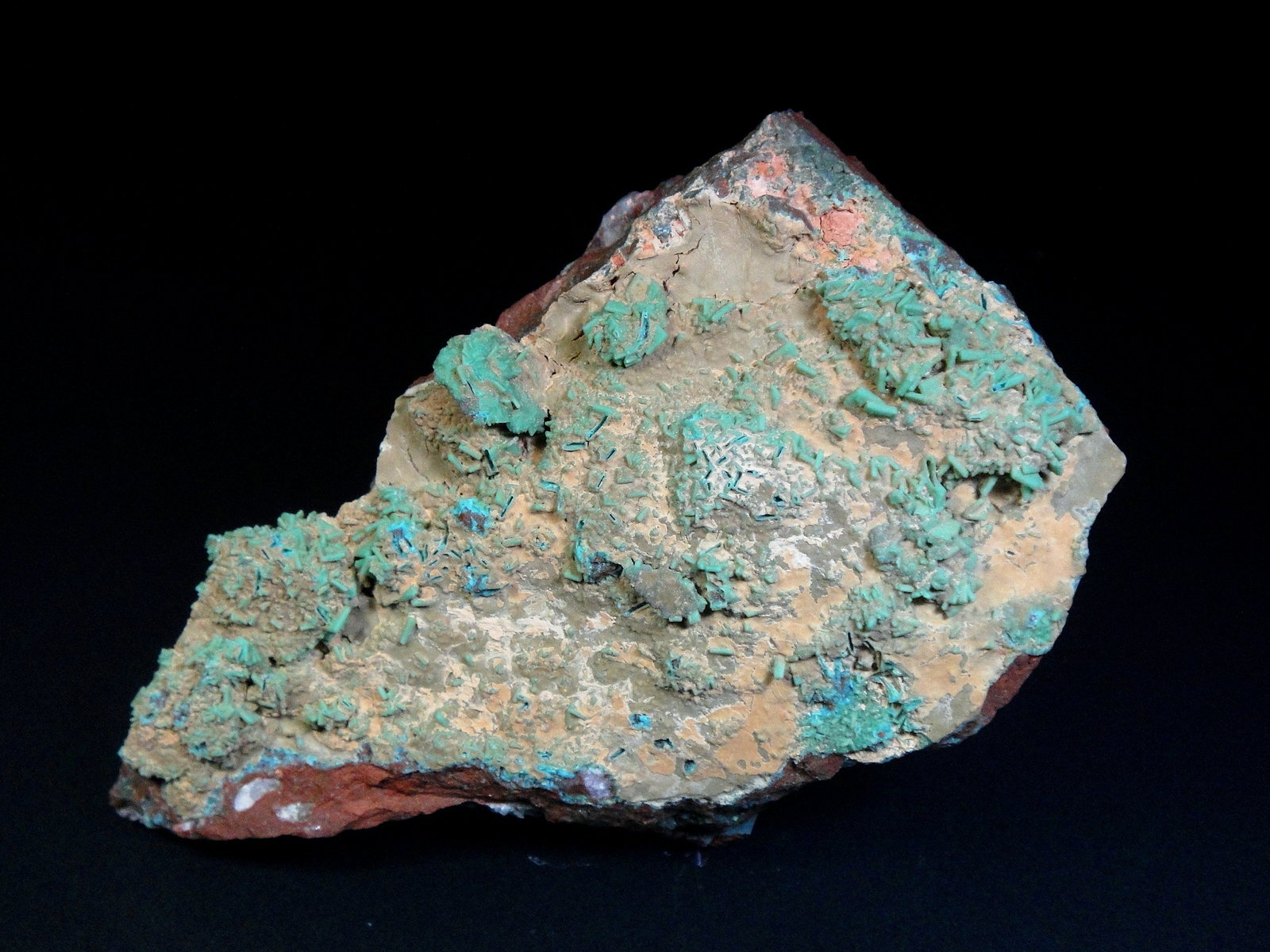 Turquesa
8 x 4,5 cm.
(Autor: Antonio P. López)