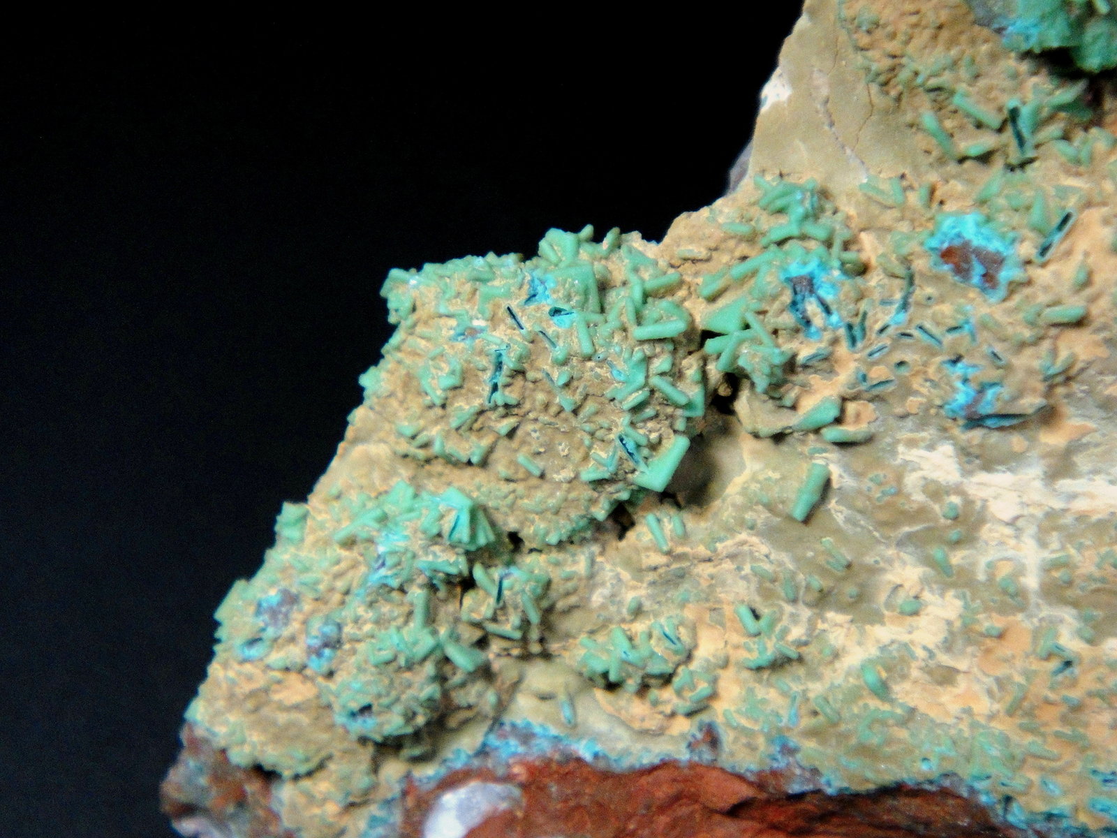 Turquesa
Campo de visión 3 cm.
(Autor: Antonio P. López)