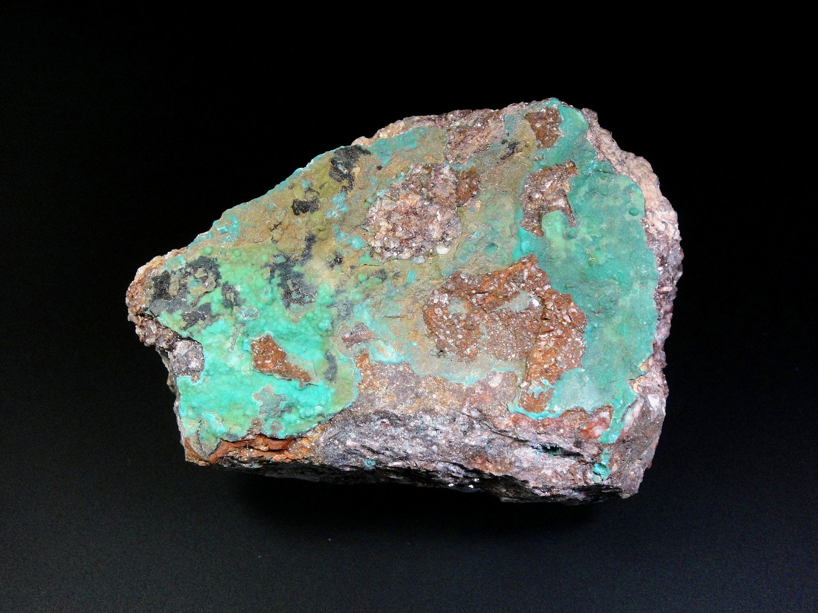 Turquesa
8 x 6 cm.
(Autor: Antonio P. López)