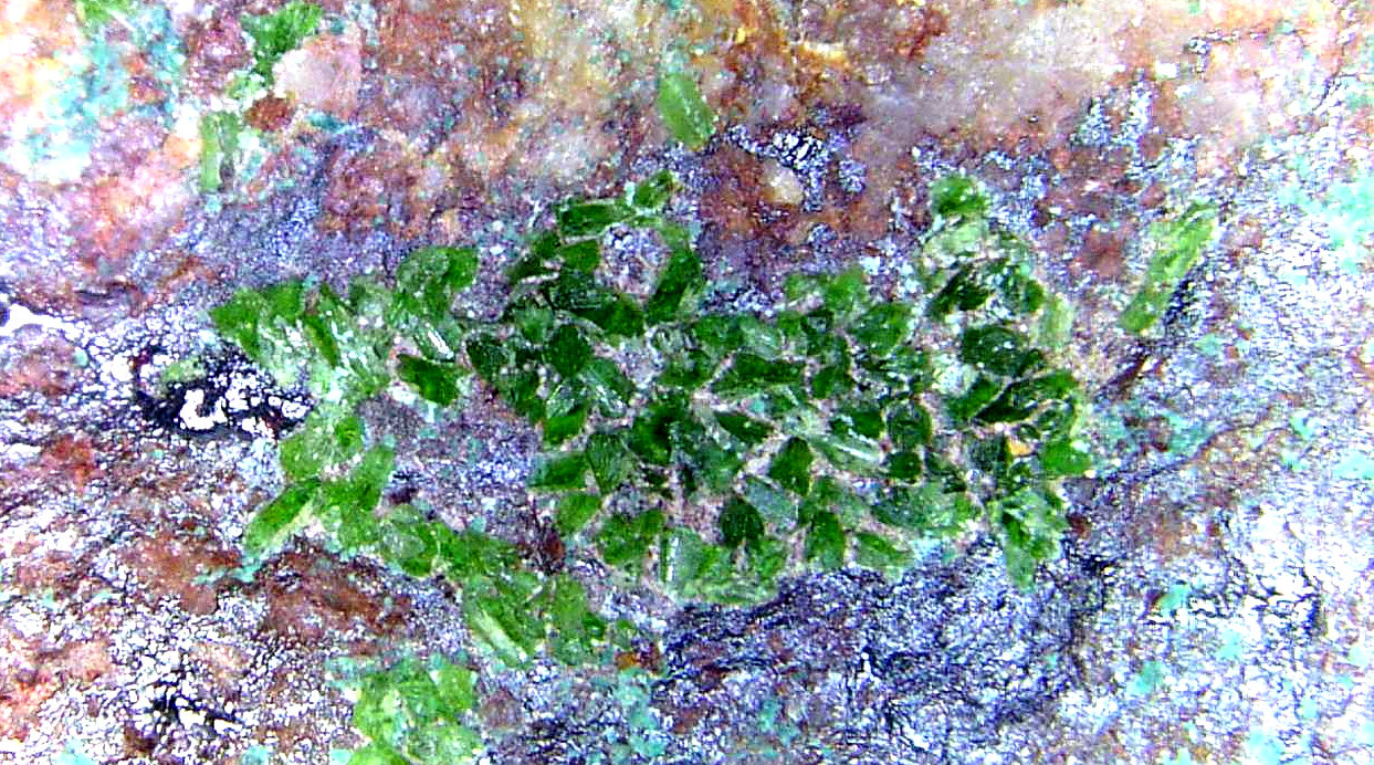 Libethenita
Campo de visión 10 mm.
(Autor: Antonio P. López)