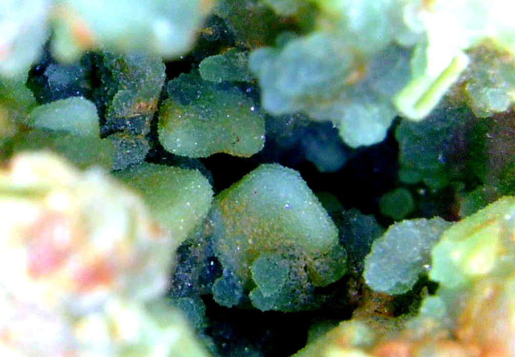 Turquesa
Campo de visión 5 mm.
(Autor: Antonio P. López)