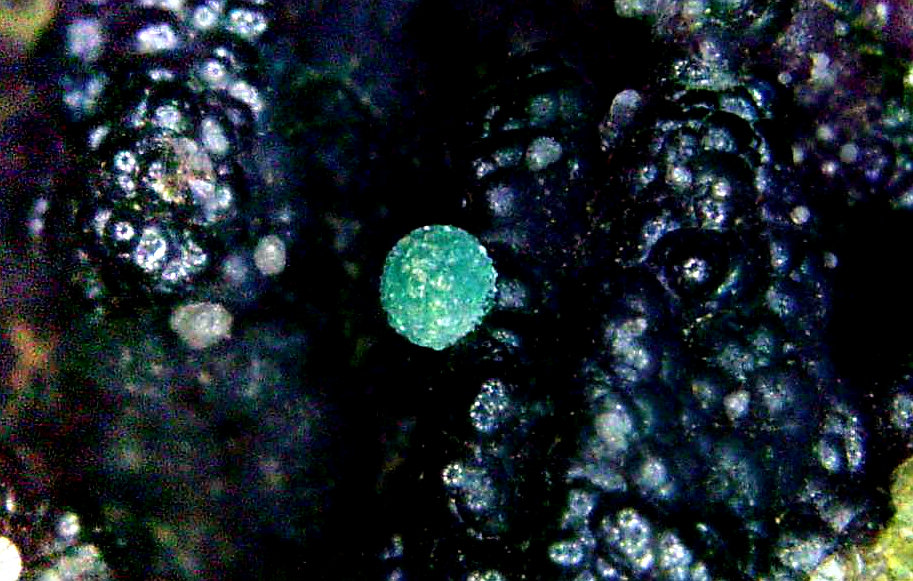 Reichenbachita
Campo de visión 4 mm.
(Autor: Antonio P. López)