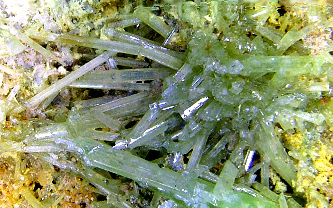 Piromorfita
Campo de visión 6 mm.
(Autor: Antonio P. López)