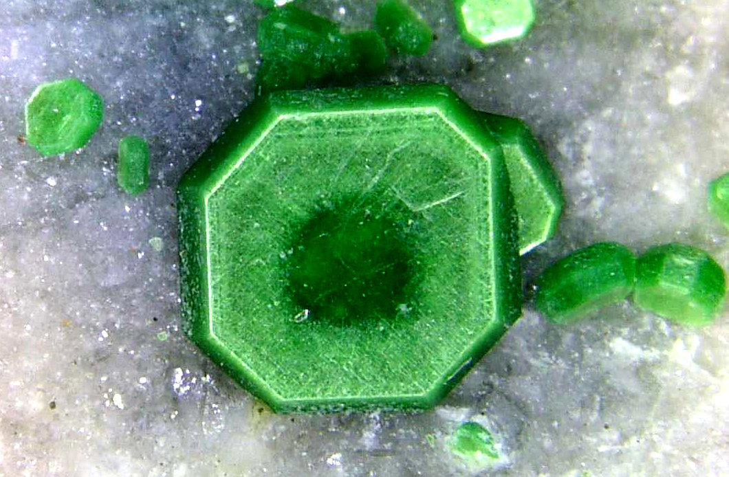 Torbernita
Cristal de 3 mm.
(Autor: Antonio P. López)