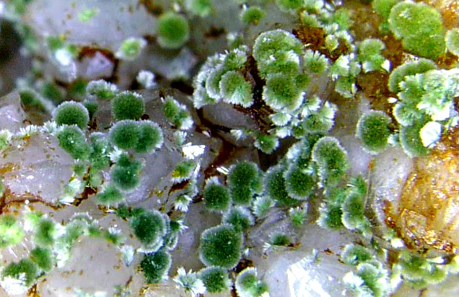 Natrodufrenita
Campo de visión 3 mm.
(Autor: Antonio P. López)