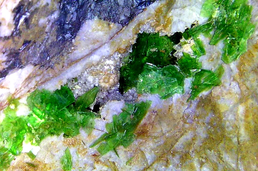 Torbernita
Campo de visión 10 mm.
(Autor: Antonio P. López)