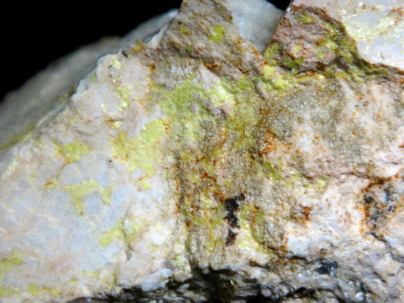 Uranocircita
Campo de visión 4 cm.
(Autor: Antonio P. López)
