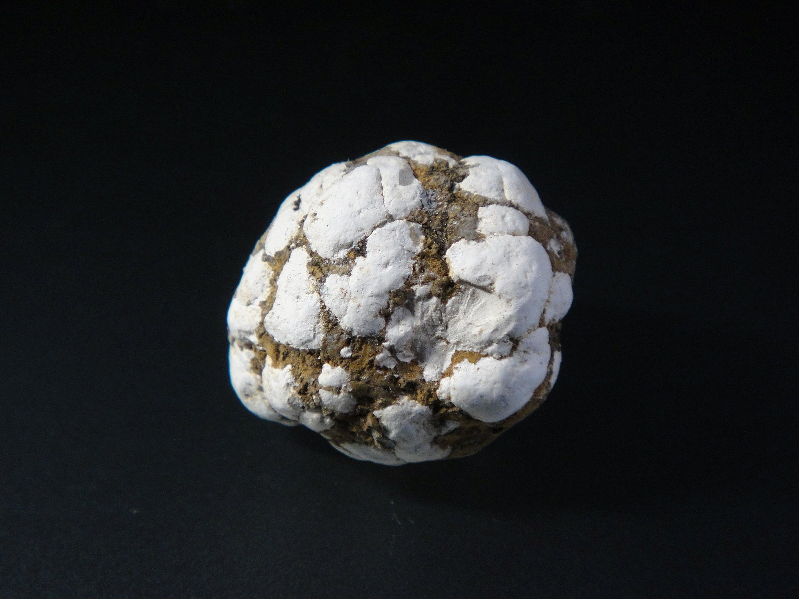 Tinticita, Calcioferrita
2 x 2 cm.
(Autor: Antonio P. López)