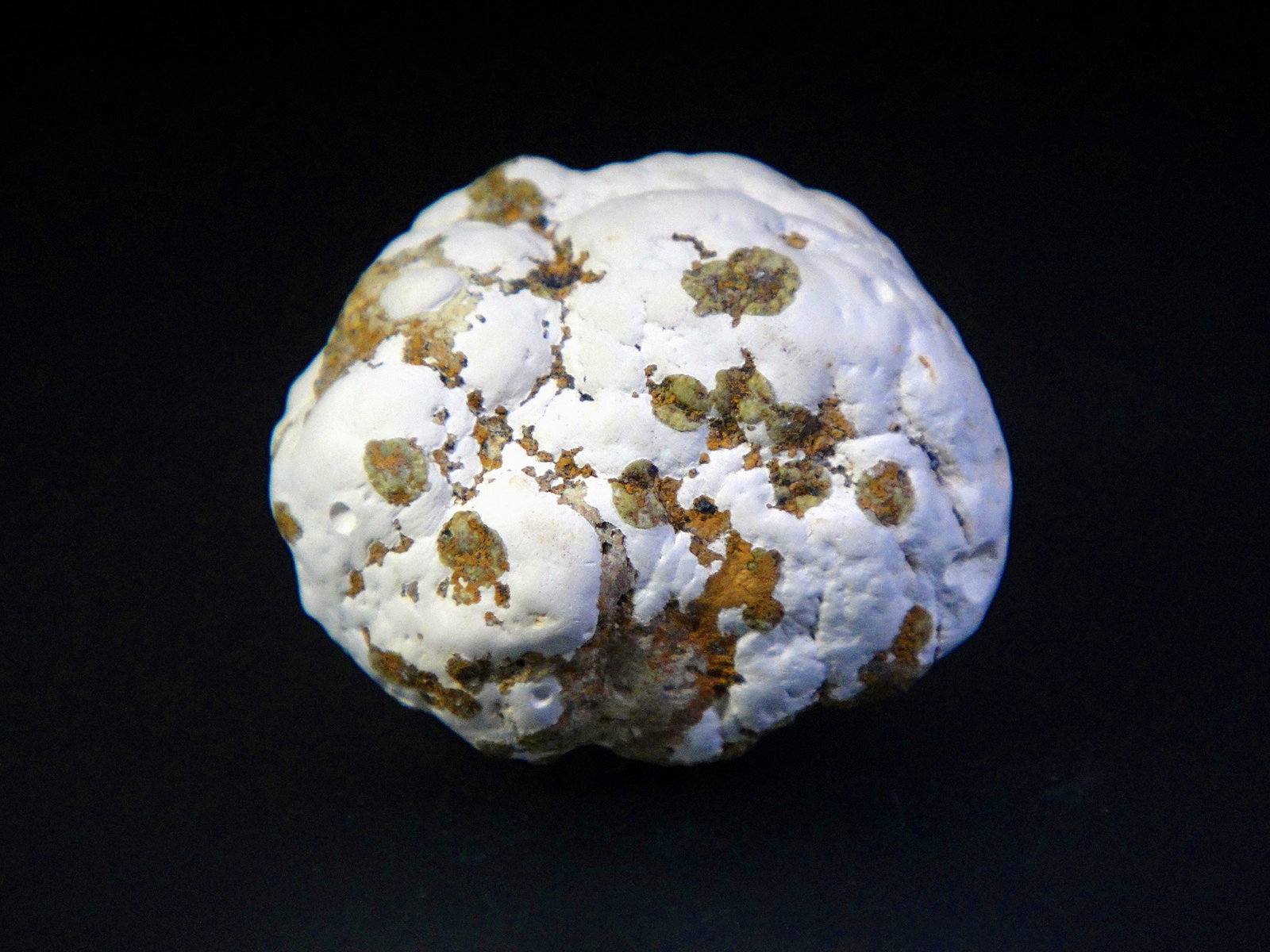 Tinticita
3,5 x 3 cm.
(Autor: Antonio P. López)