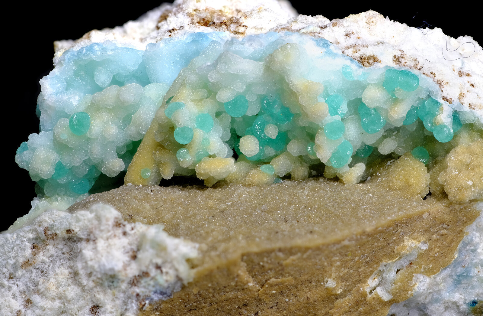 Cuprodongchuanita
Campo de visión 3 cm.
(Autor: Antonio P. López)