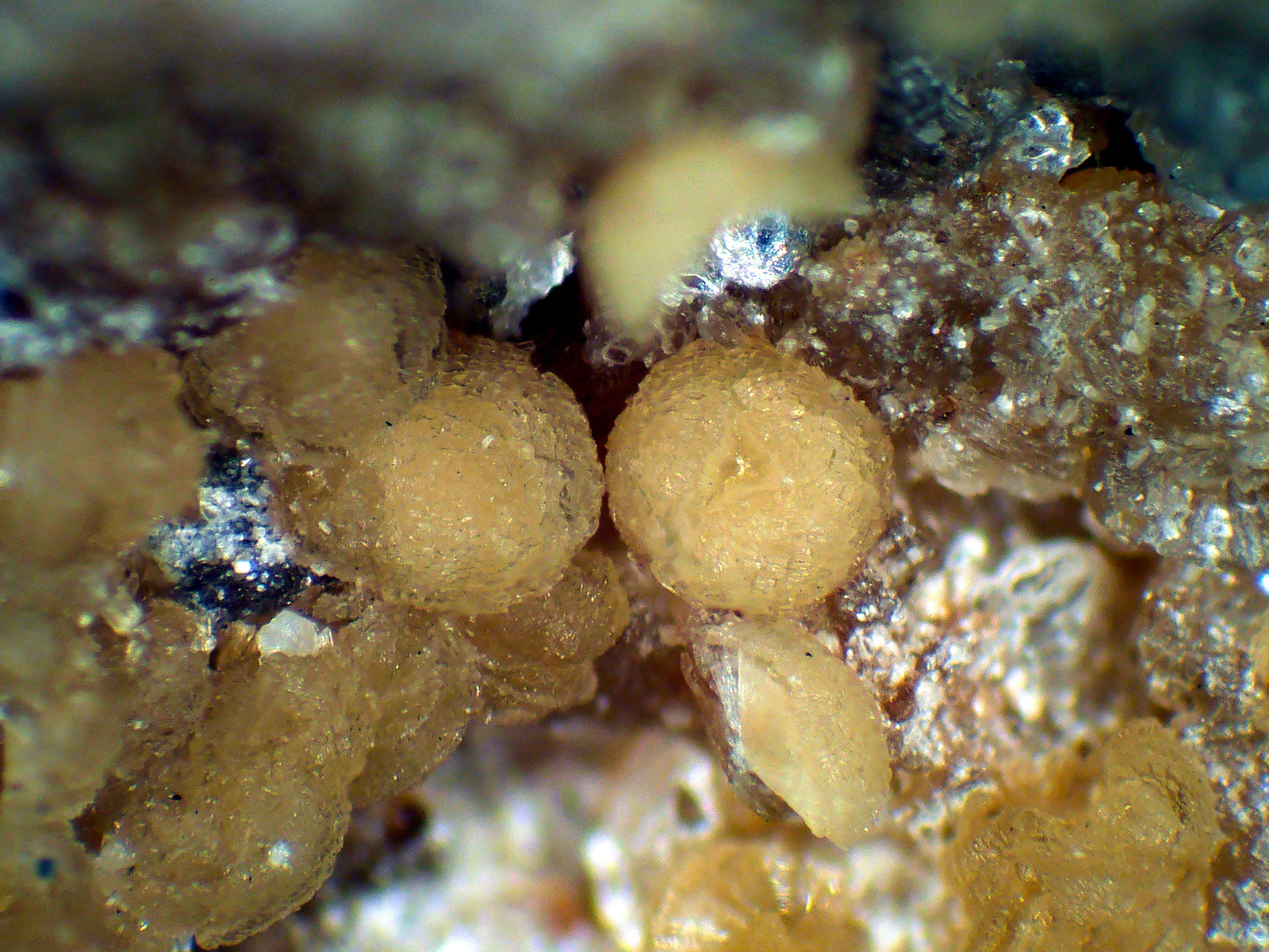 Eosforita
Glóbulos de 3 mm.
(Autor: Antonio P. López)