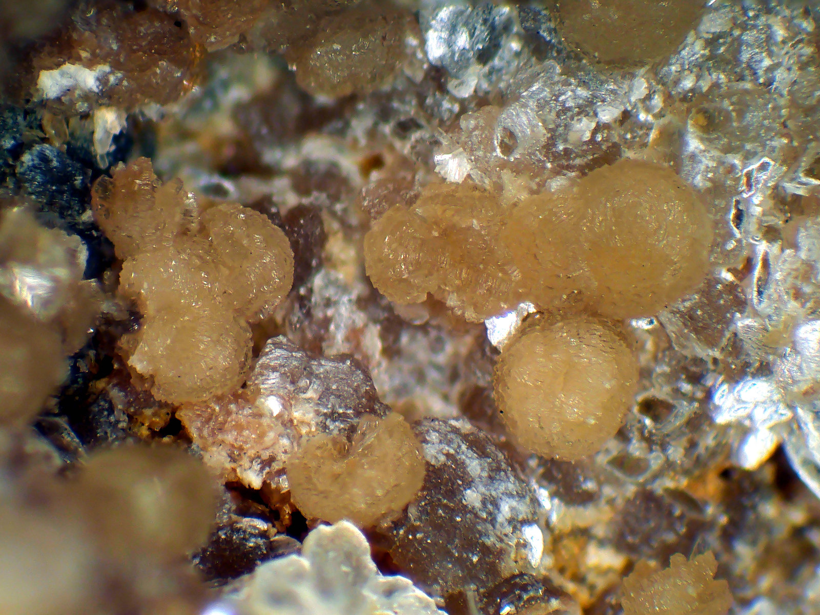 Eosphorita
Glóbulos de 3 mm.
(Autor: Antonio P. López)