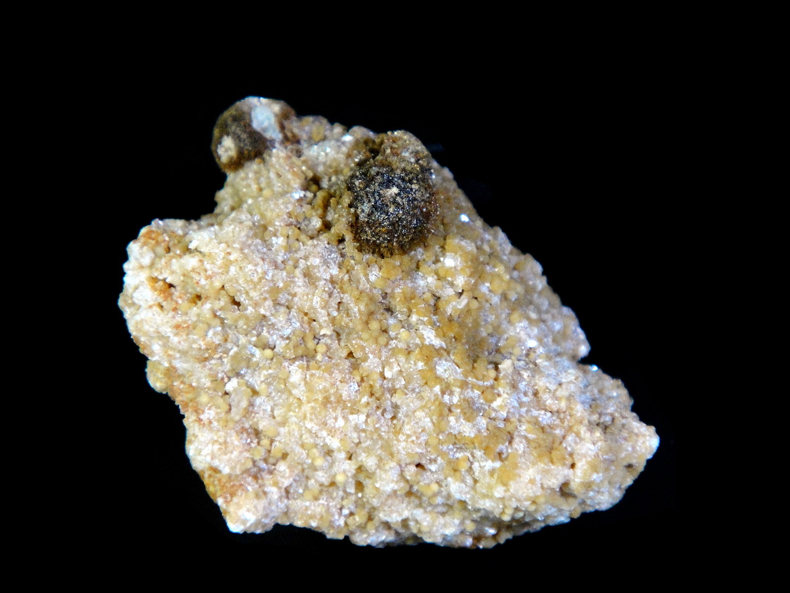 Zanazziita, Eosphorita
4 x 3 cm.
(Autor: Antonio P. López)