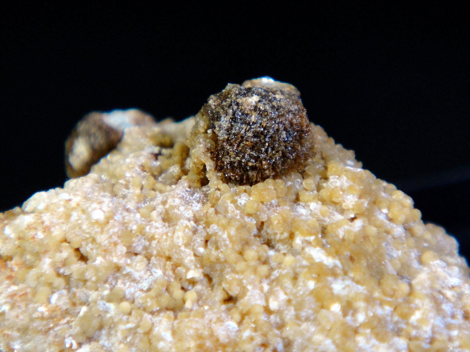 Zanazziita, Eosphorita
Campo de visión 2 cm.
(Autor: Antonio P. López)