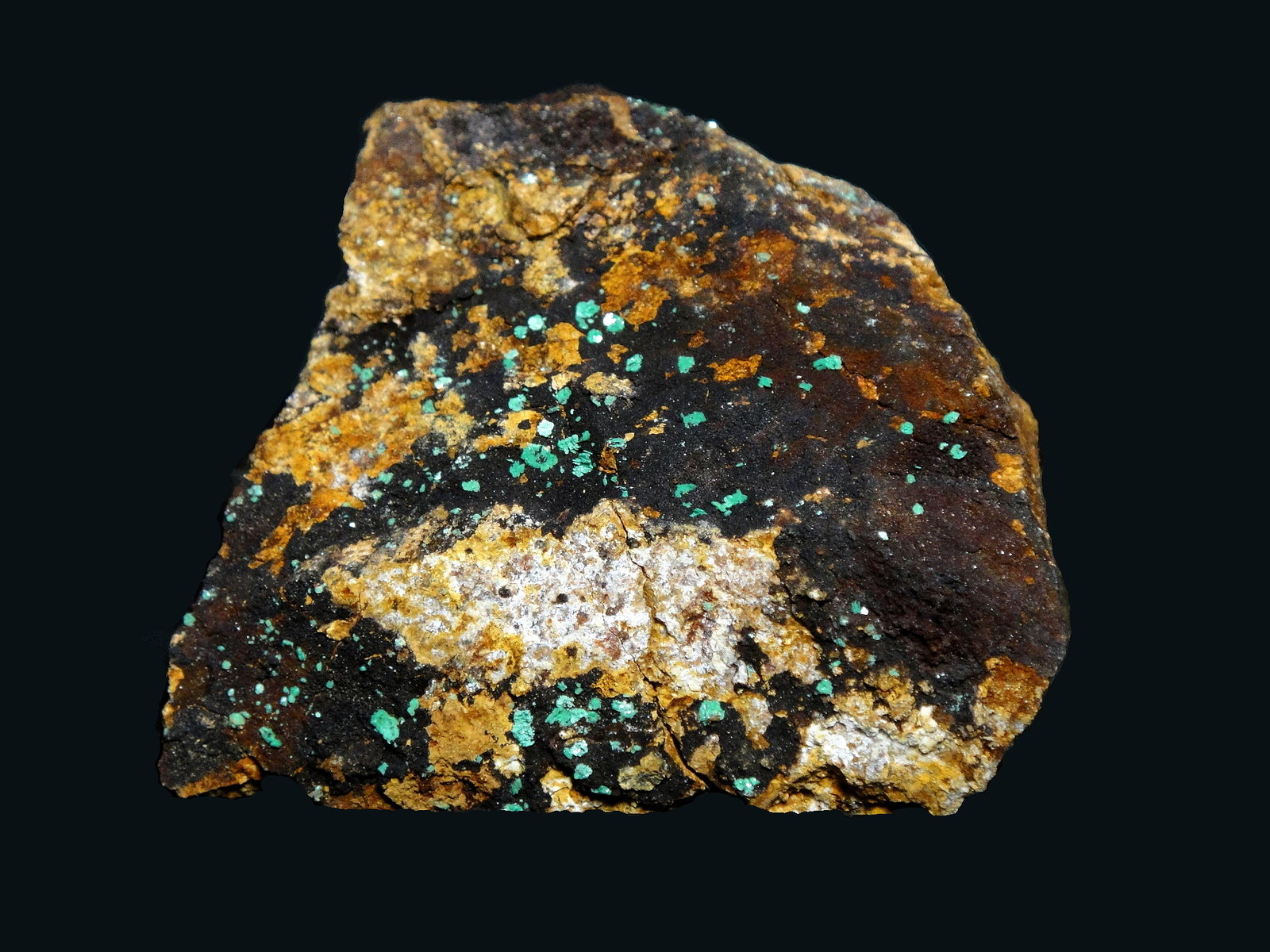 Metatorbernita (variedad metatorbernita arsenical)
7 x 6 cm.
(Autor: Antonio P. López)