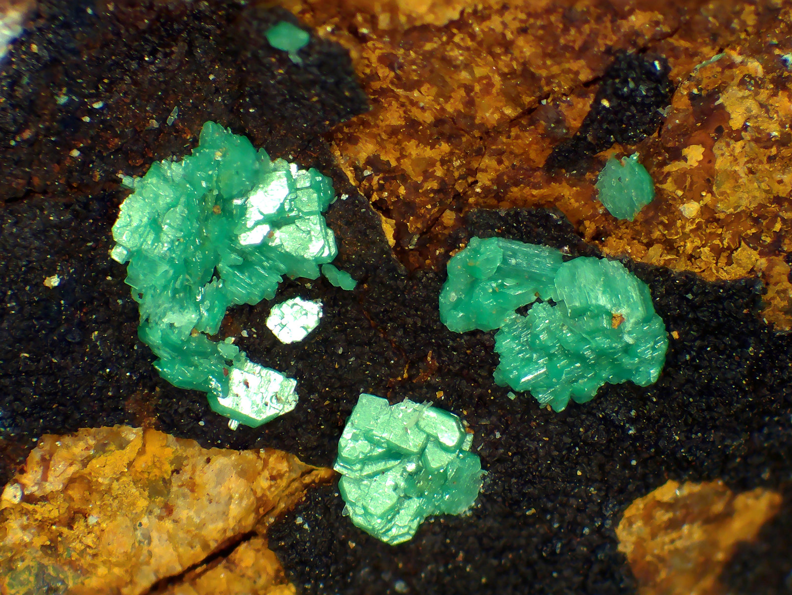 Metatorbernita (variedad metatorbernita arsenical)
Campo de visión 5,7 mm.
(Autor: Antonio P. López)