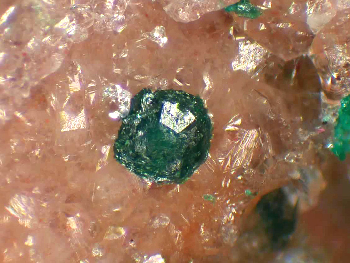 Reichenbachita, Cuarzo
Campo de visión 3 mm.
(Autor: Antonio P. López)