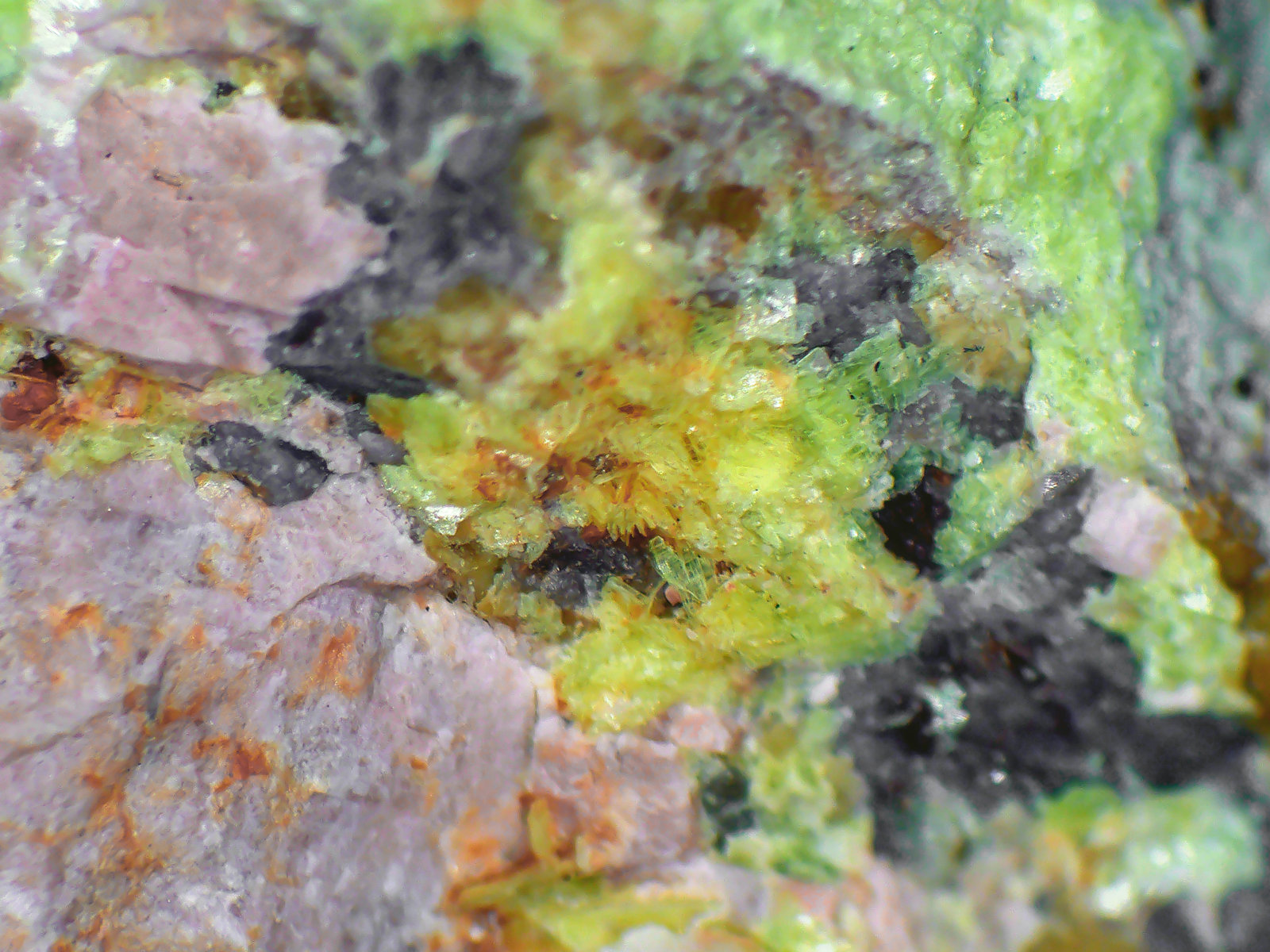 Uranocircita, Ortoclasa
Campo de visión 10 mm.
(Autor: Antonio P. López)