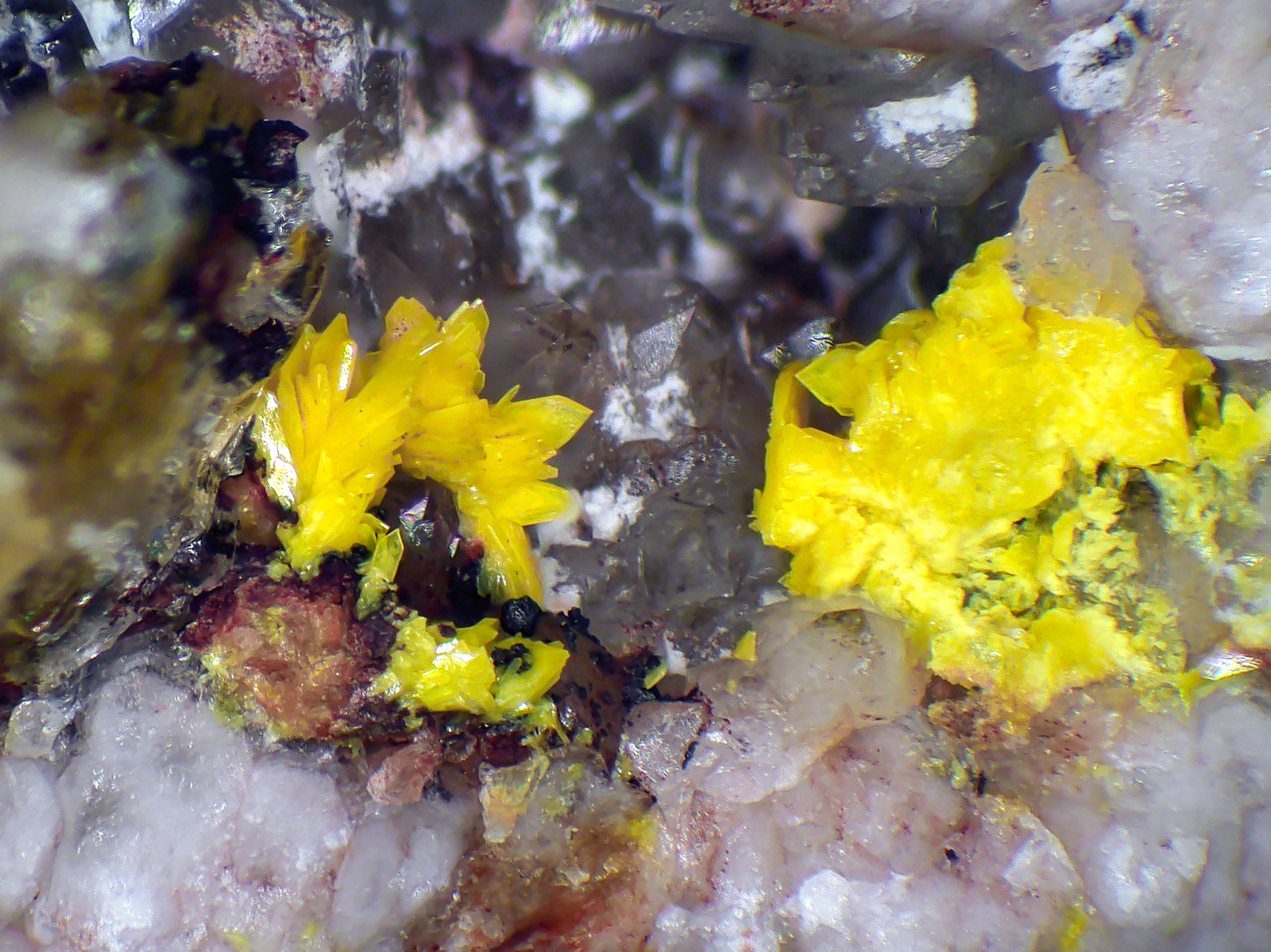 Bergenita
Cristales de hasta 3 mm.
(Autor: Antonio P. López)
