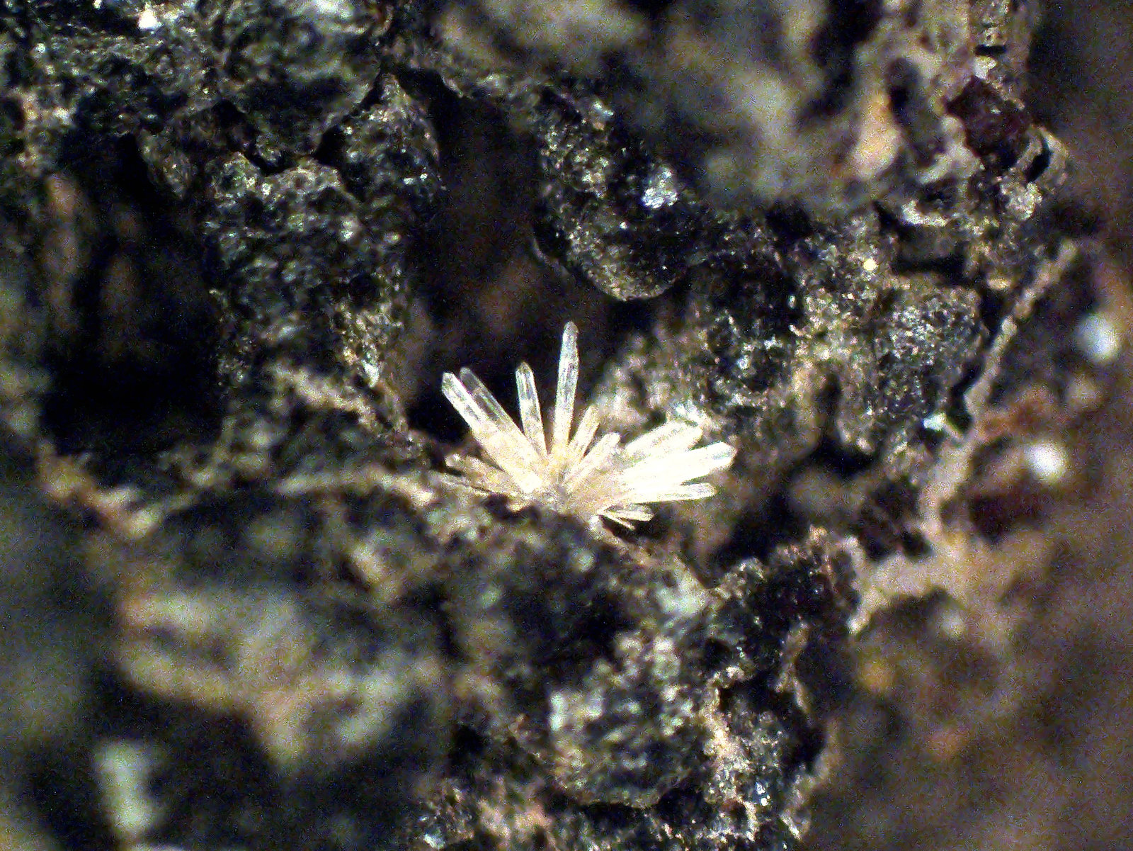 Hopeíta
Grupo 2 mm.
(Autor: Antonio P. López)