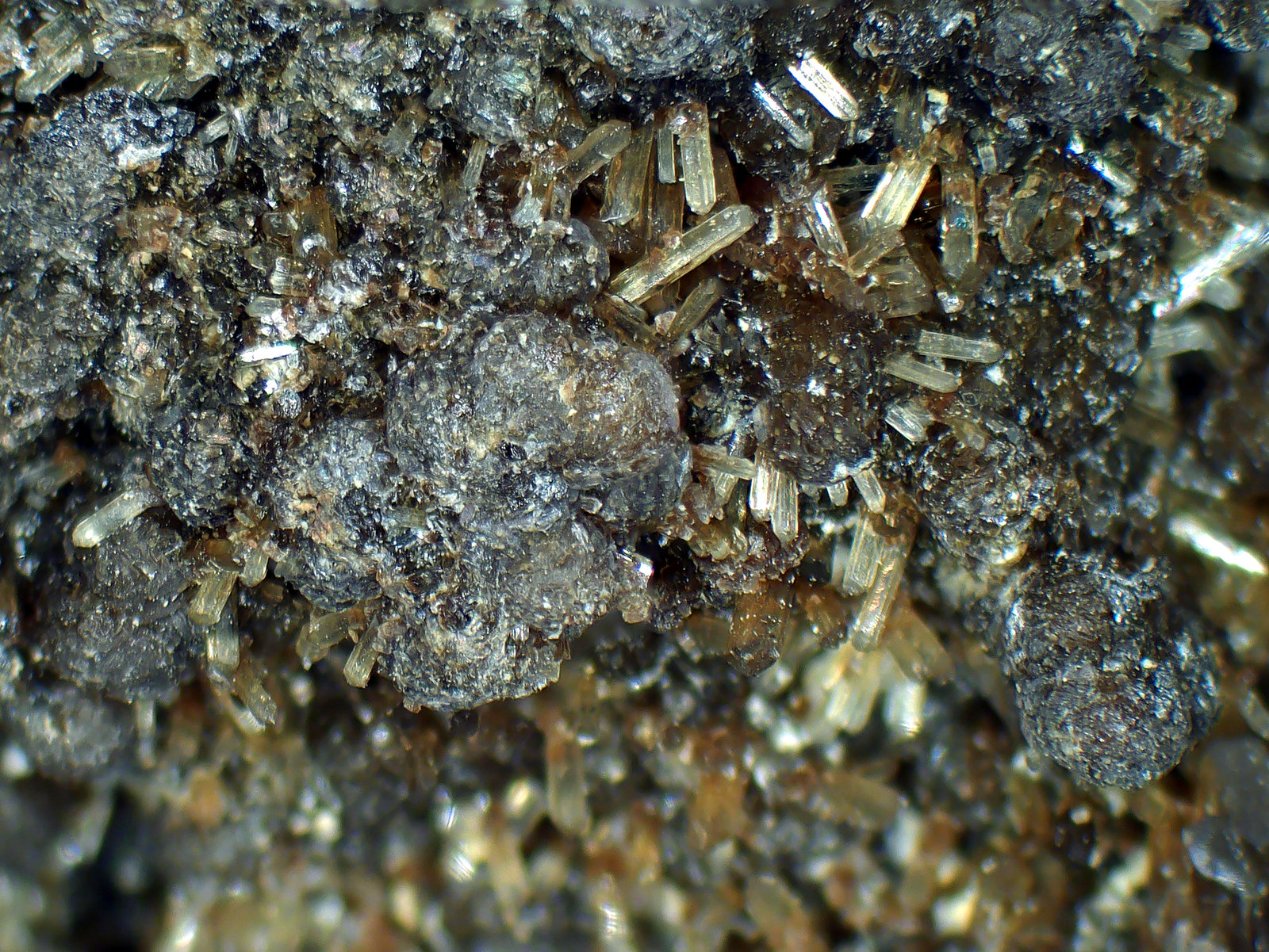 Greifensteinita, Eosforita
Campo de visión 6 mm.
(Autor: Antonio P. López)
