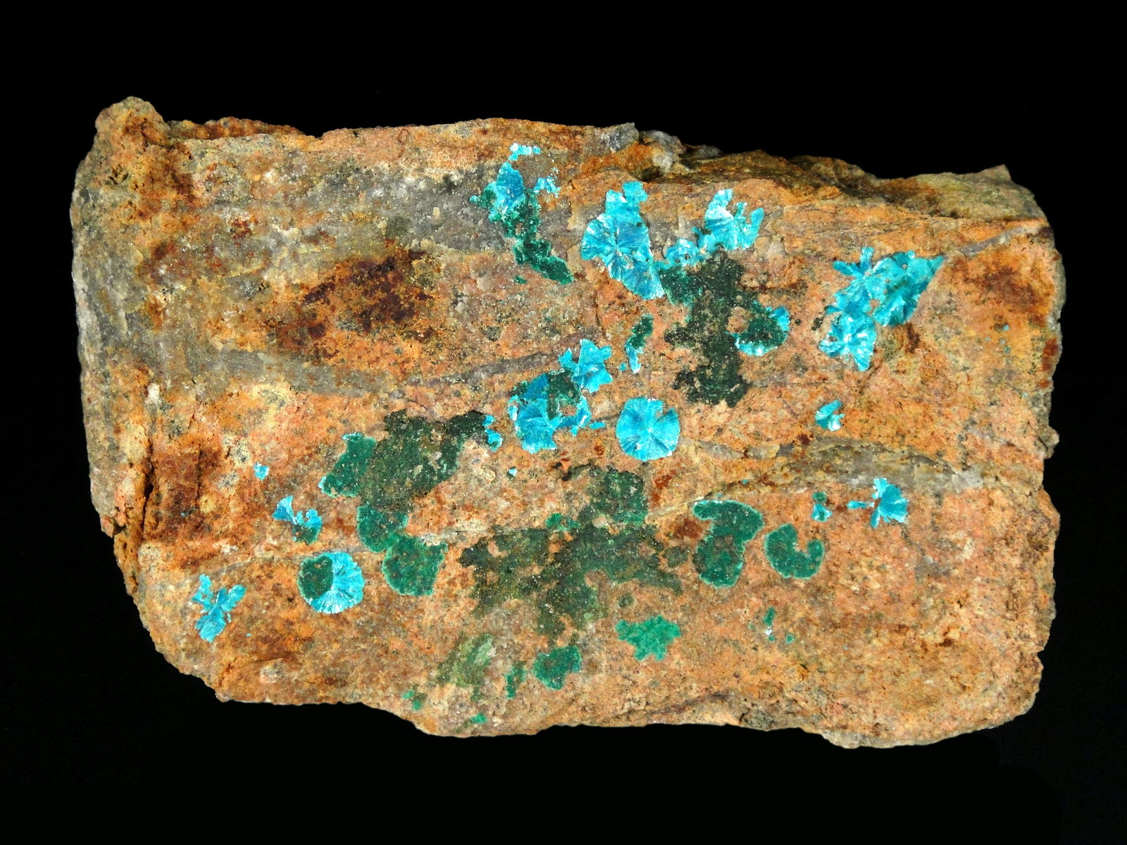 Sampleíta, Pseudomalaquita
10 x 6 cm.
(Autor: Antonio P. López)