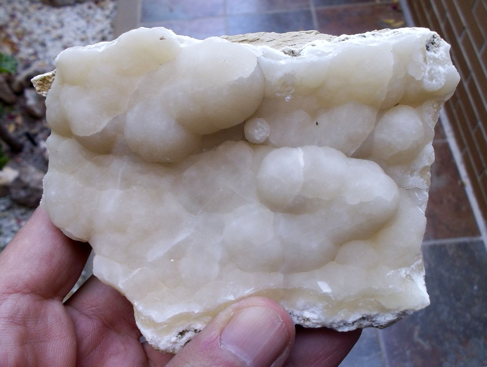 Cuarzo (variedad calcedonia)
10 x 6 cm
(Autor: Cristalino)