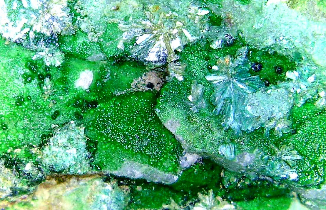 Tyrolita (Tirolita) y Conichalcita (Conicalcita)
Campo de visión 8 mm.
(Autor: Antonio P. López)