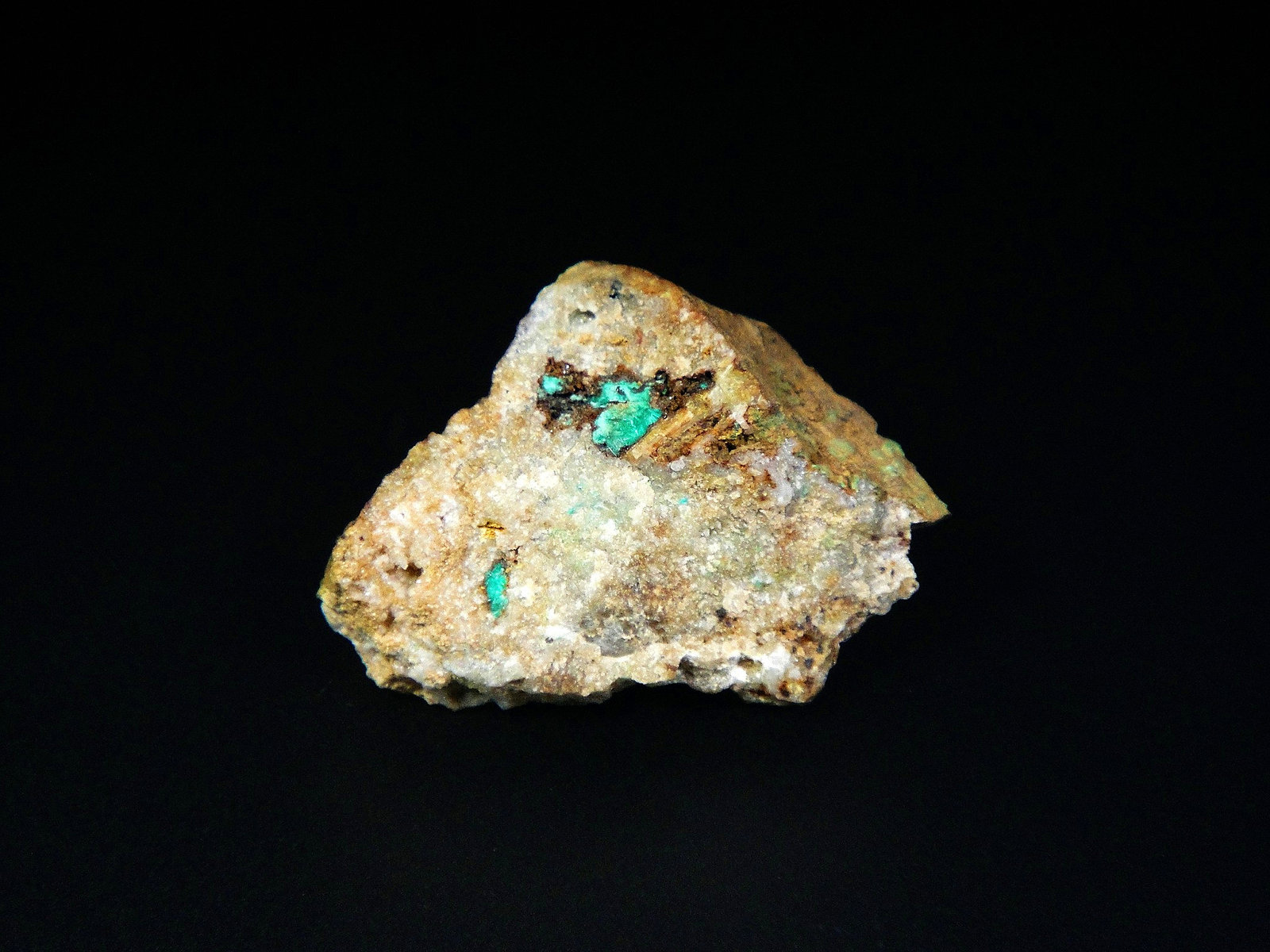 Mixita
3 x 2,5 cm.
(Autor: Antonio P. López)