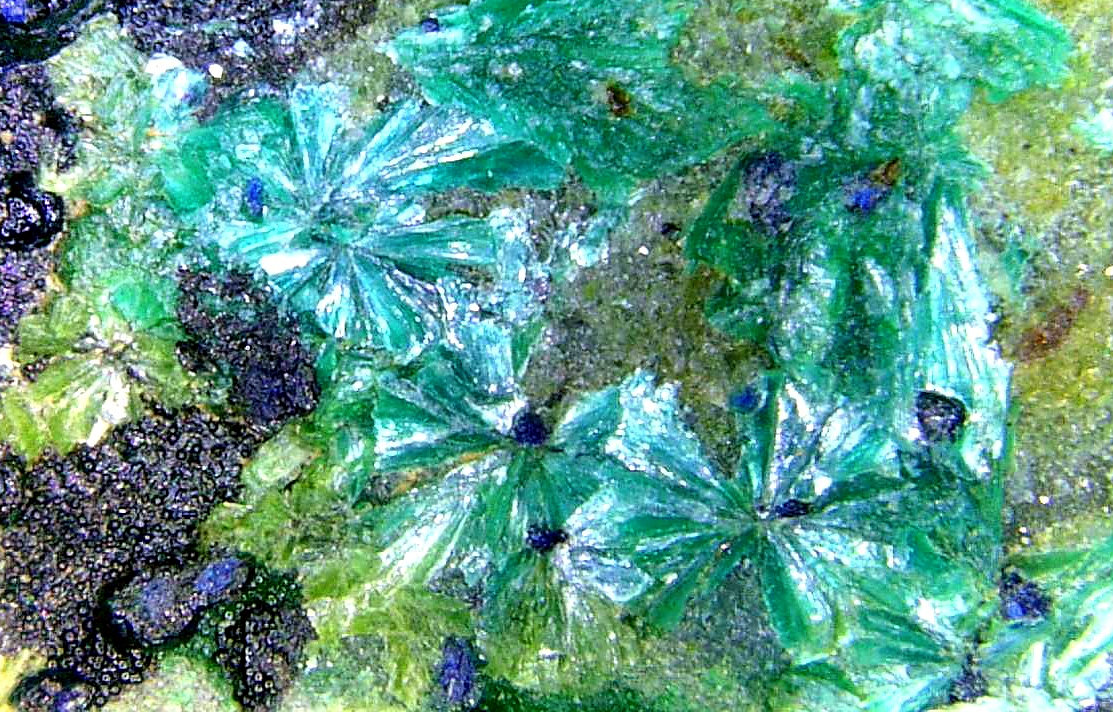 Tyrolita (Tirolita)
Campo de visión 8 mm.
(Autor: Antonio P. López)