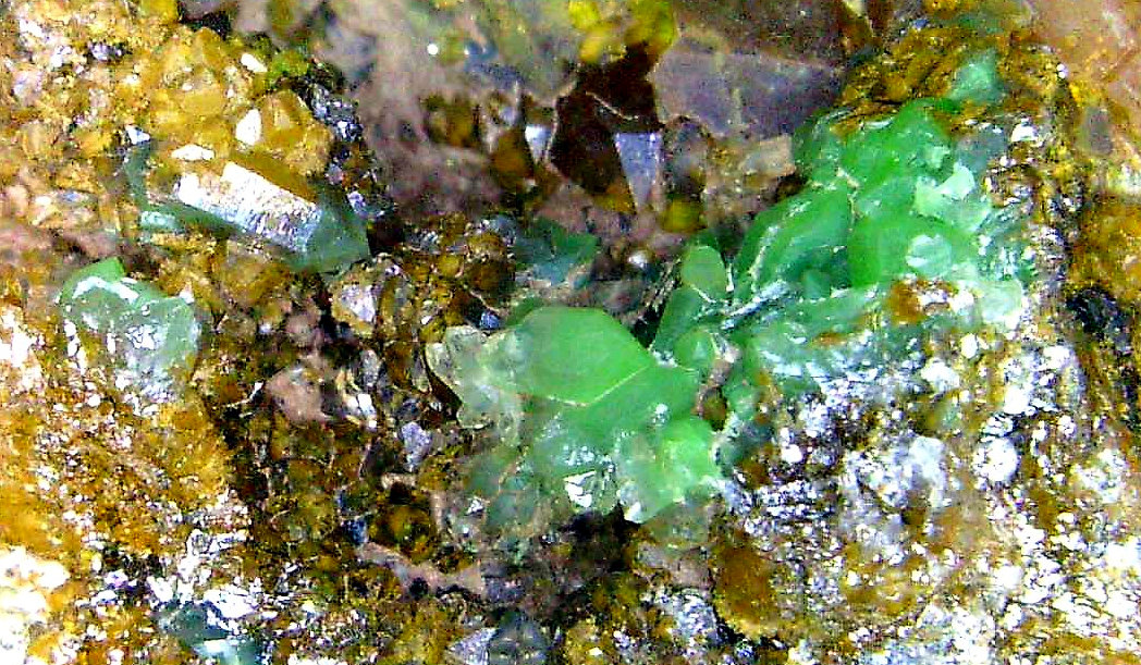 Conichalcita (Conicalcita)
Campo de visión 12 mm.
(Autor: Antonio P. López)