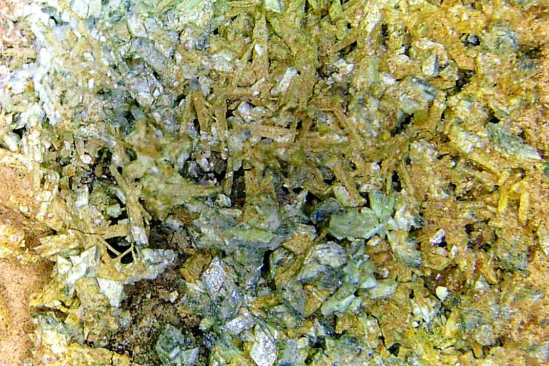 Parasymplesita
Campo de visión 8 mm.
(Autor: Antonio P. López)