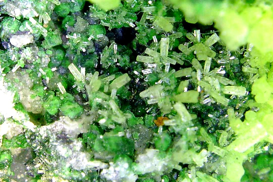 Bayldonita y Piromorfita
Campo de visión 7 mm.
(Autor: Antonio P. López)