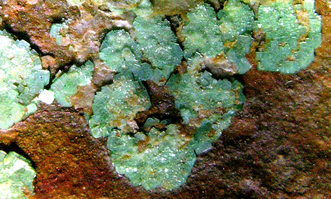 Zeunerita
Campo de visión 10 mm.
(Autor: Antonio P. López)