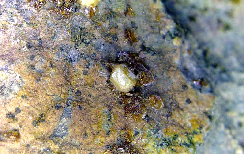 Arsendescloizita
Campo de visión 6 mm.
(Autor: Antonio P. López)