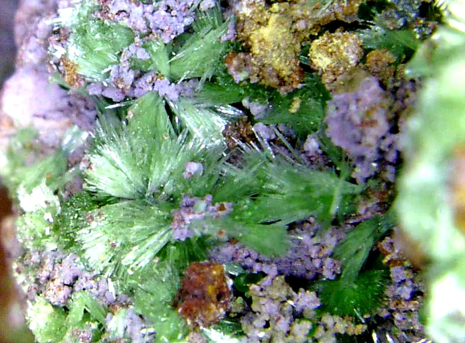 Adamita
Campo de visión 10 mm.
(Autor: Antonio P. López)