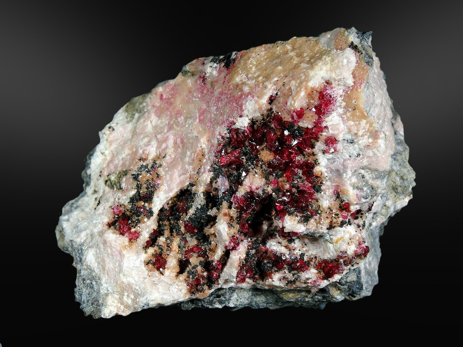 Roselita
10 x 6 cm.
(Autor: Antonio P. López)