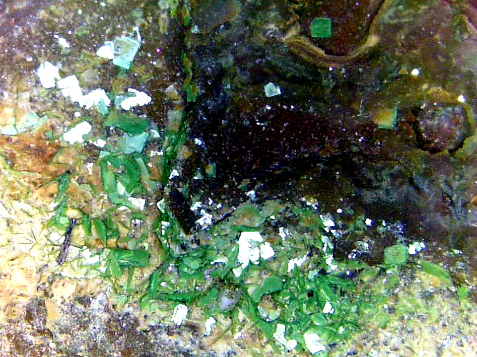 Metazeunerita
Campo de visión 10 mm.
(Autor: Antonio P. López)