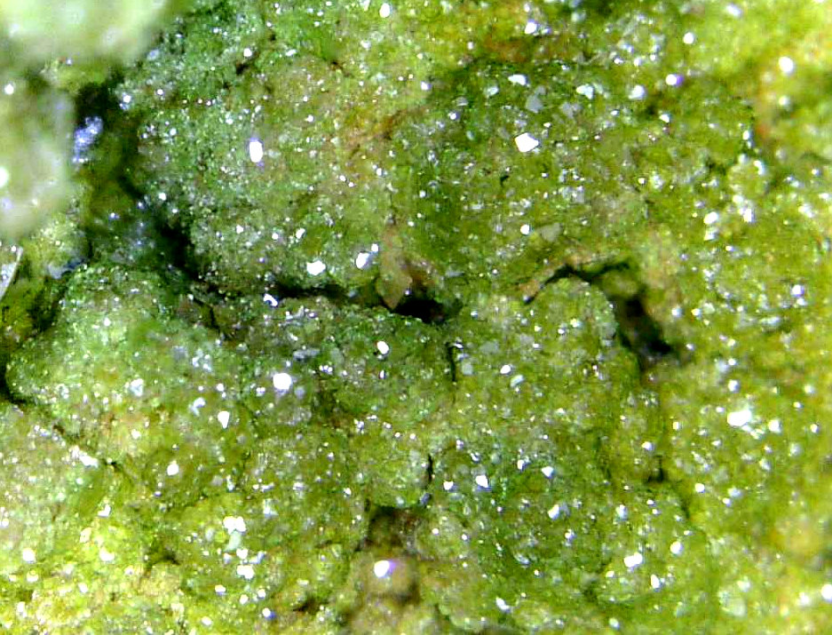 Natrofarmacosiderita
Campo de visión 8 mm.
(Autor: Antonio P. López)