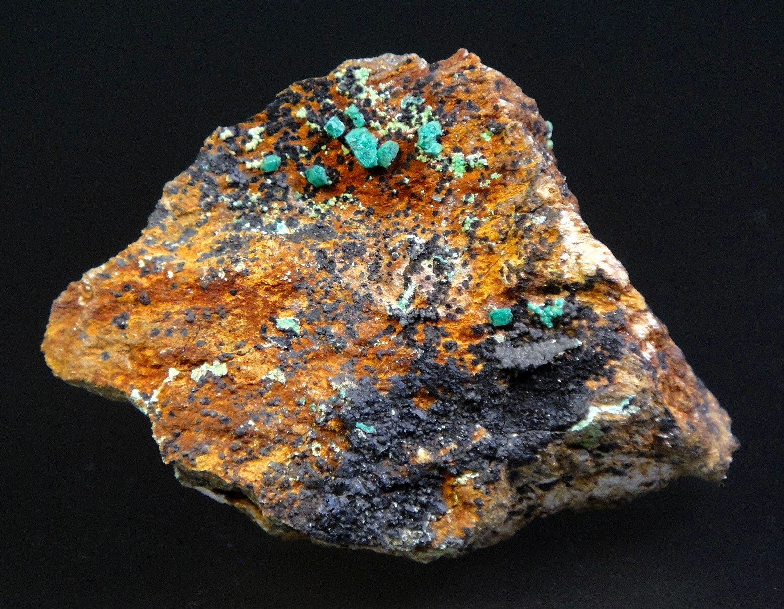 Euchroíta
6 x 4 cm.
(Autor: Antonio P. López)