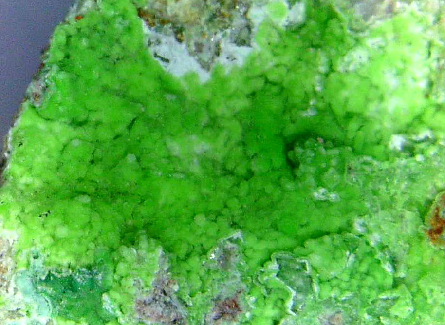 Conichalcita (Conicalcita)
Campo de visión 4 mm.
(Autor: Antonio P. López)