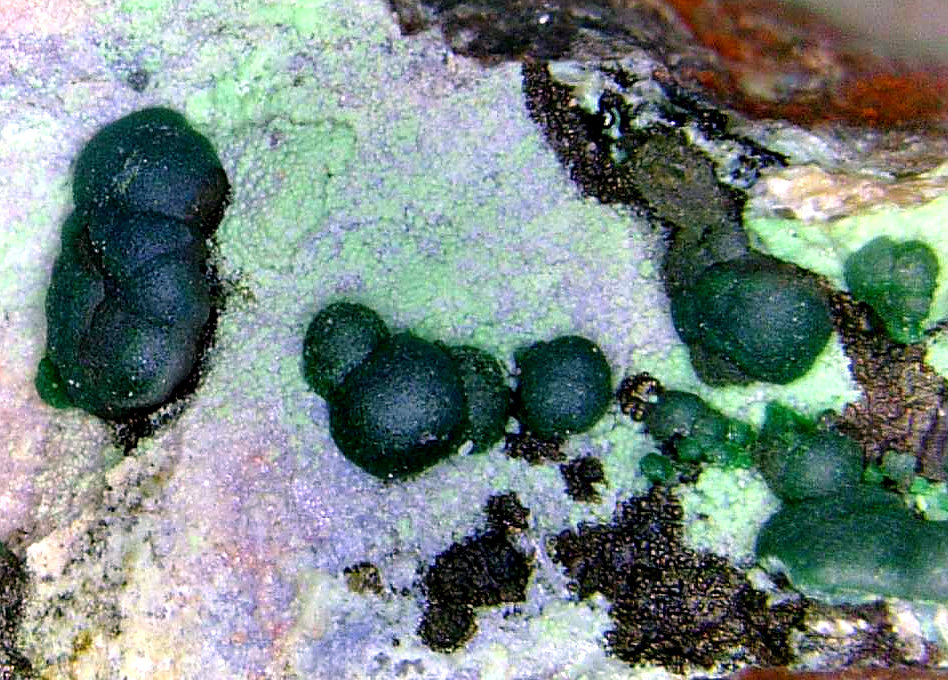 Conichalcita (Conicalcita) y Malaquita
Campo de visión 5 mm.
(Autor: Antonio P. López)
