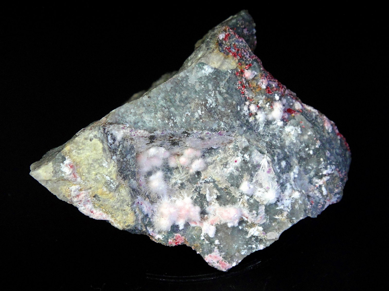 Picrofarmacolita [Picropharmacolite]
8 x 6 cm.
(Autor: Antonio P. López)