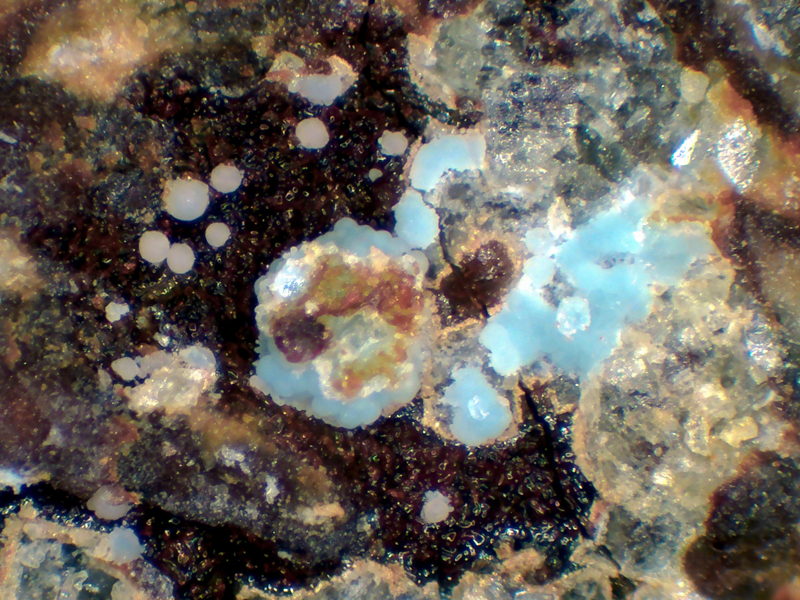 Barahonaíta-(Fe), Barahonaíta-(Al), Yukonita
Campo de visión 1,9 mm.
(Autor: Antonio P. López)