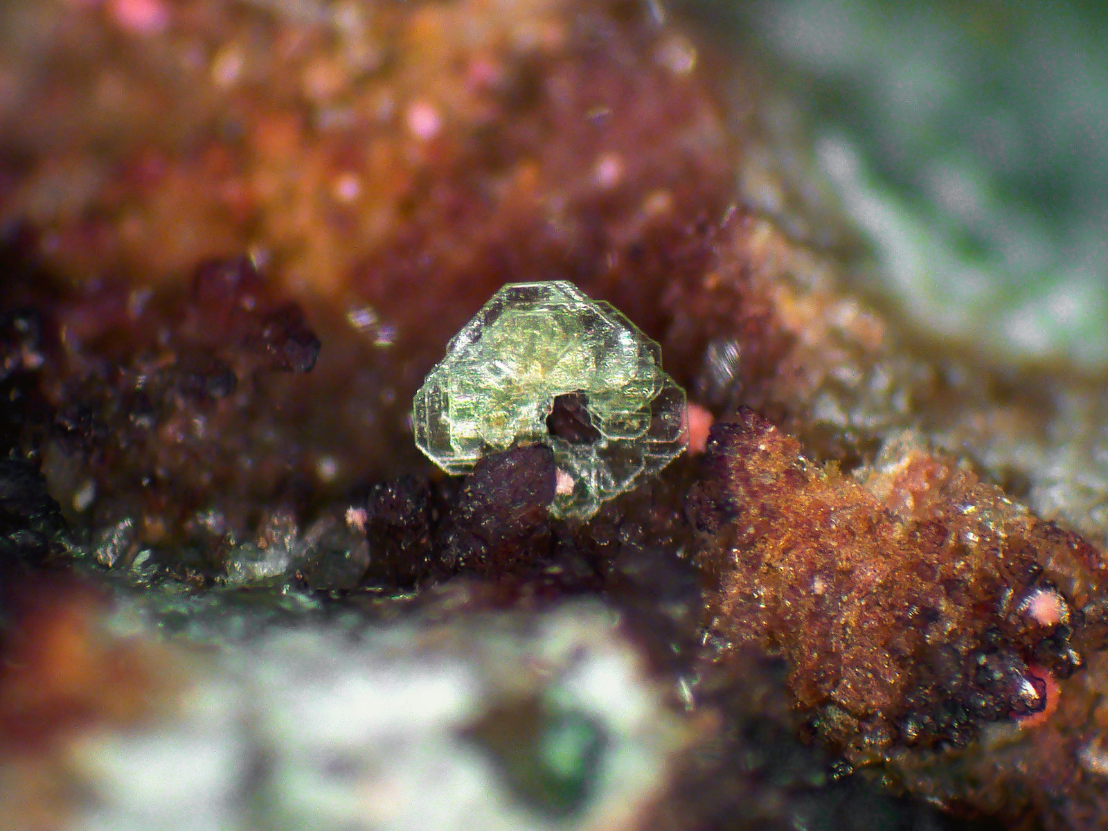 Heinrichita, Eritrita
Cristal de 2 mm.
(Autor: Antonio P. López)