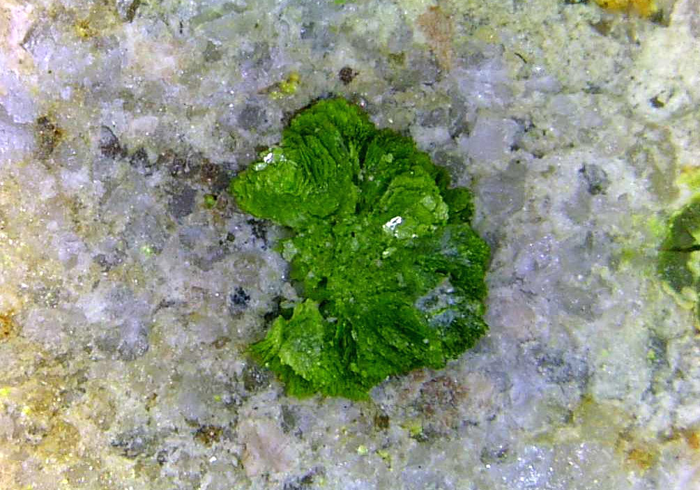 Tangeíta
Cristal de 2 mm.
(Autor: Antonio P. López)
