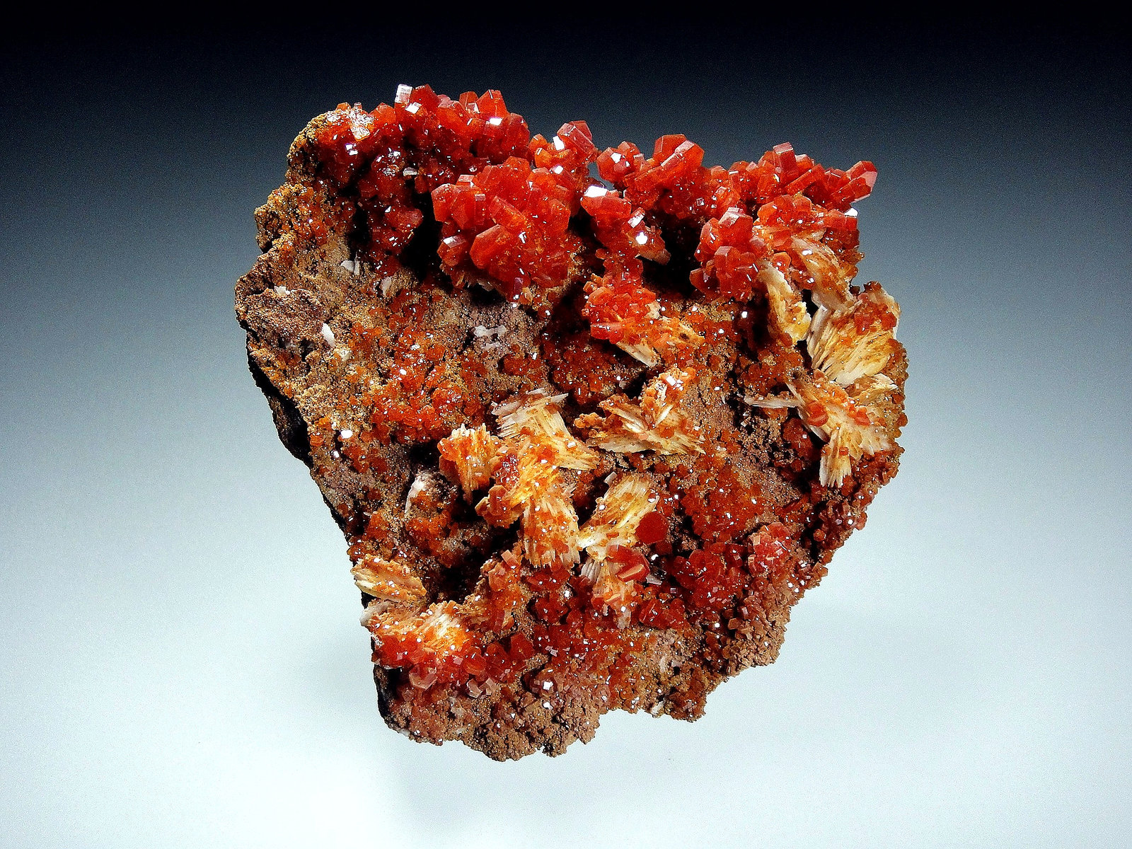 Vanadinita
8 x 6 cm.
(Autor: Antonio P. López)